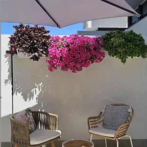 Albayda Garden , Granada España